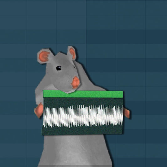 Rat Beat, Beach Rats