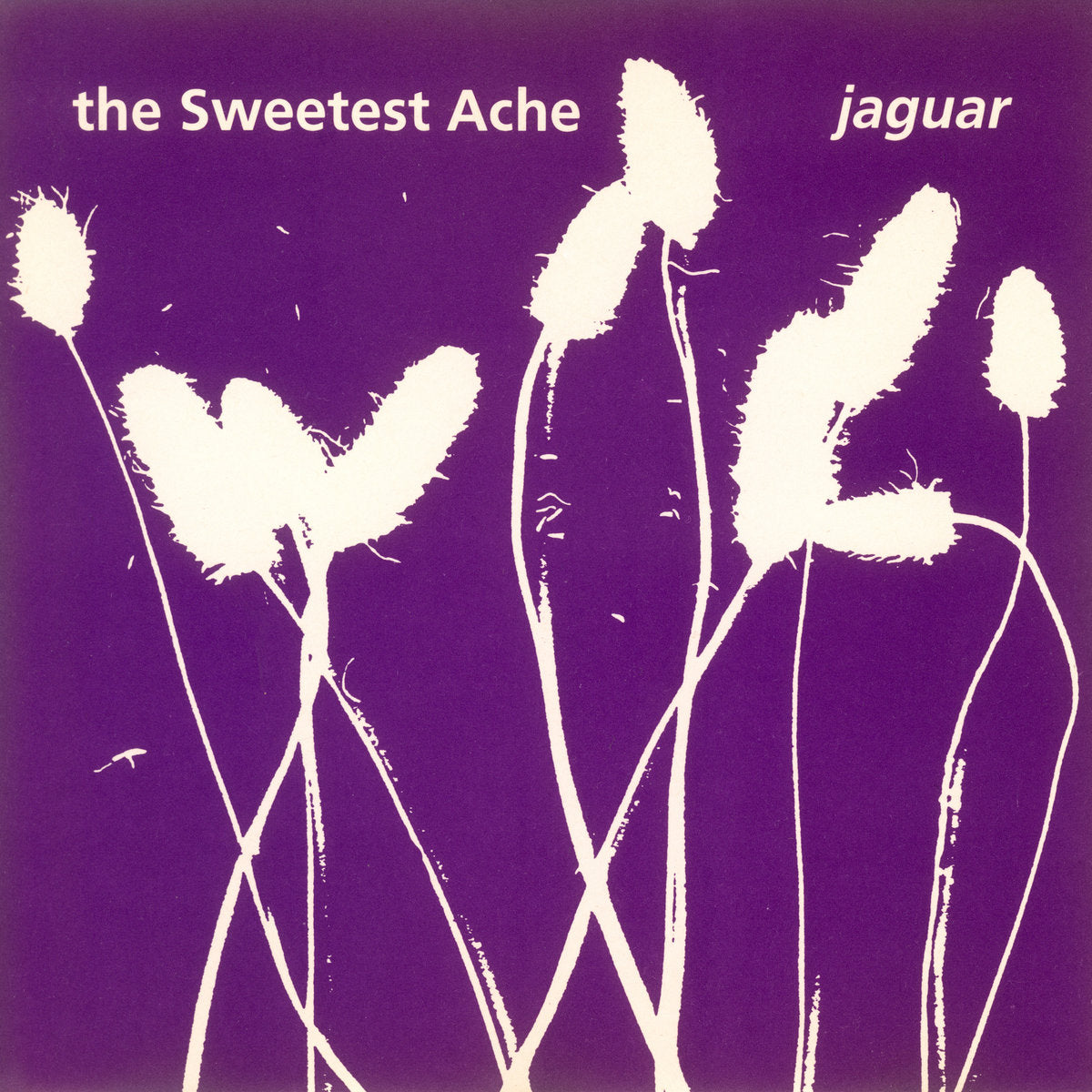 Jaguar, The Sweetest Ache